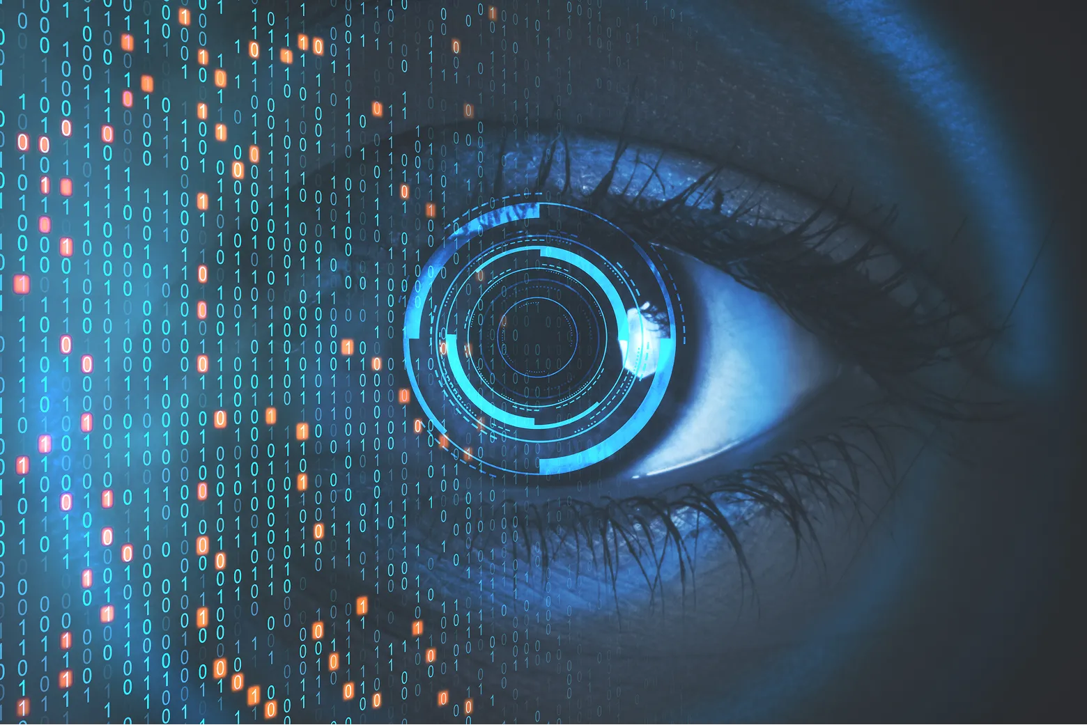 Shadow AI Visibility and Monitoring