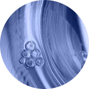 circle-clip