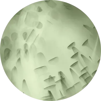 circle-clip