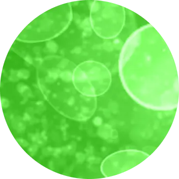 circle-clip