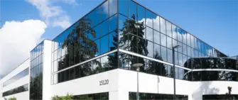 react js developer, working developer, coders